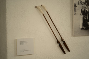 645422418 1437853684803222 8191229488253024188 n