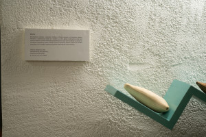 646832774 1437853824803208 832821950373752328 n