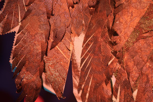 672229527 1472016081386982 6235267710046190246 n