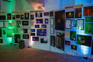 619300217 1404981571423767 6059234689517707342 n