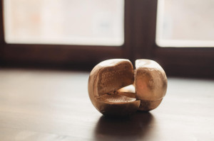 434588470 935484425040153 1025175112900065651 n