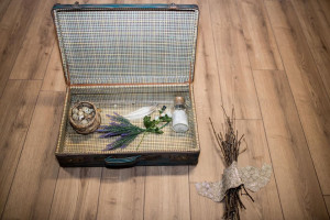 342803252 518067277016104 2670889789523112966 n