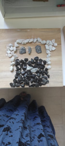 361344927 784213923500538 8041275585983796422 n